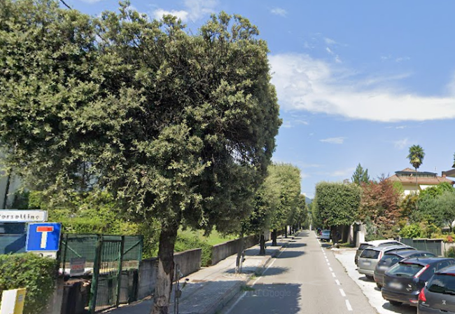 viale franzosini