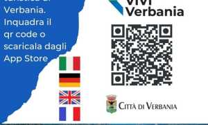 viviVb