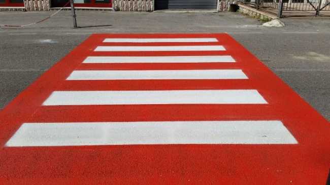 zebre