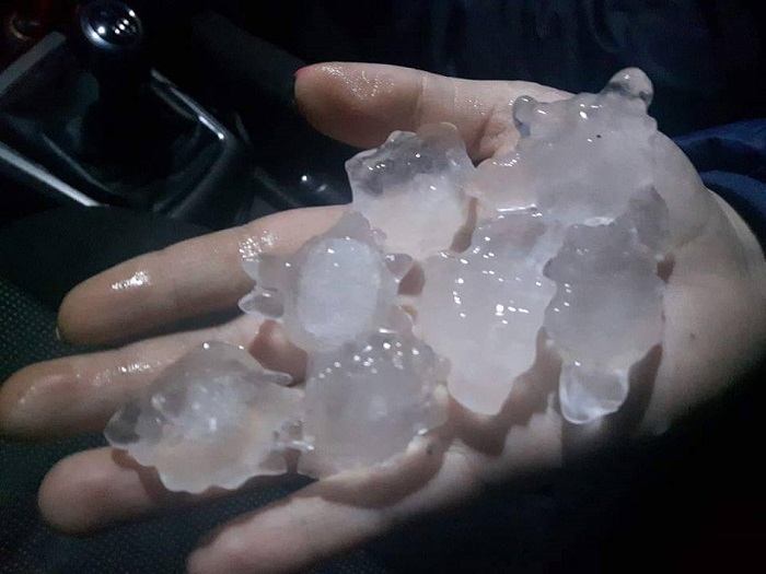 Maxi grandinata nel Vercellese: danni alle coltivazioni di riso