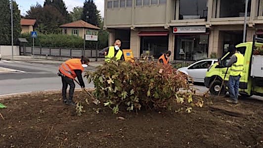 arona rotonda studenti lesa