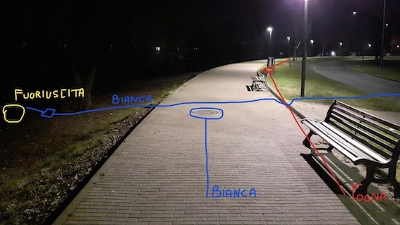 arona fuoriuscita foto