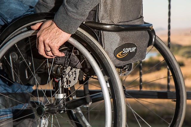 Arona agli Aronesi, mozione per istituzione Garante Diritti Persone con Disabilità 