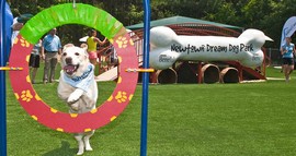 parco giochi cani