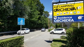 ingresso orchidea