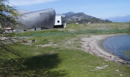 arena da liberare