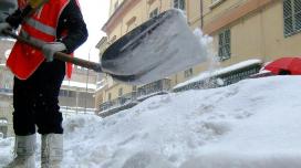 spala neve