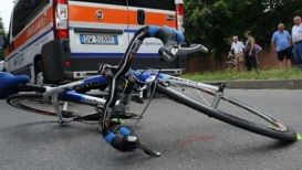 ciclo 118