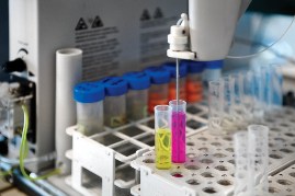 labor analisi