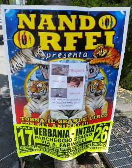 nando orfei