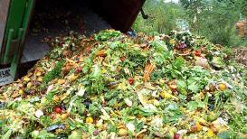 spreco alimentare