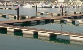 pontili