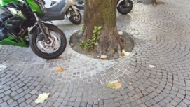porfido sempione