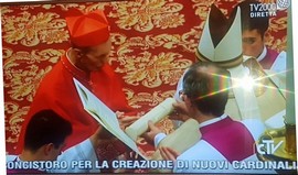 corti cardinale