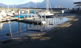 lago intra nov 16