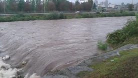 piena torrente