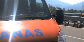 anas generico