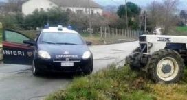cc campi