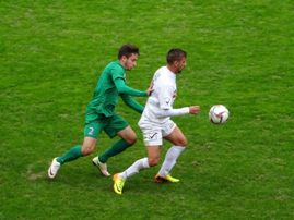 vb legnano