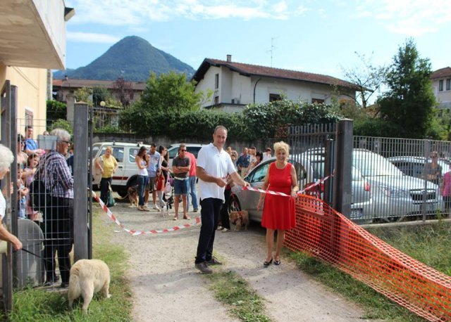 amico cane 16