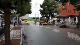 piante matteotti01