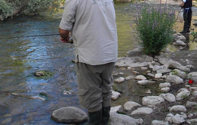 fiume pesca