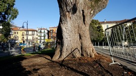 canforo petardi02