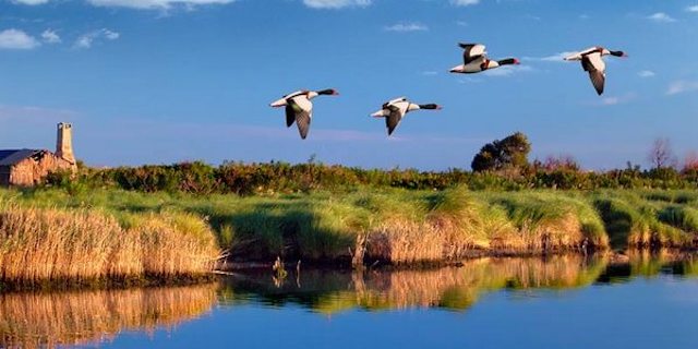 riserve biosfera cover