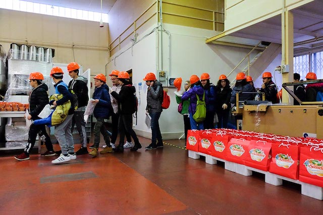 sassellese fabbriche aperte 2017 00