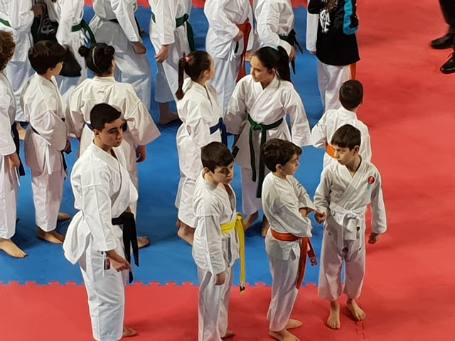 rimini karate