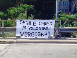 canile volontari vergogna