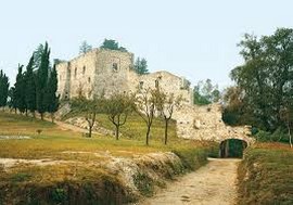 arona rocca