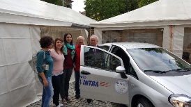 auto angsa