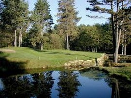 golf brovello