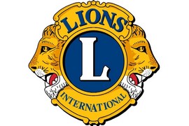 lions logo
