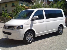 pulmino piccolo