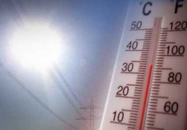 caldo generico