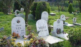 cimitero animali generico