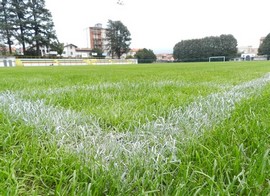 erba stadio pedroli