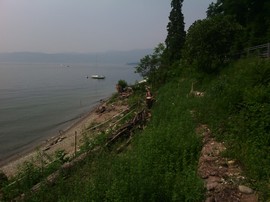 IMG 20150707 112645