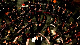 gmo orchestra