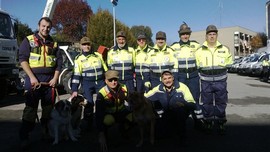 pro civile gattico