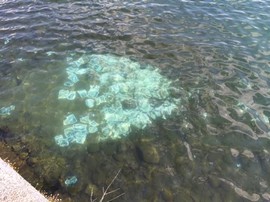 carta lago sett 2015