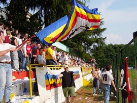 tifoVb