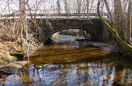 vevera torrente